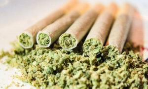 Cannabis Use Linked to Higher Risk of Severe COVID-19: Study